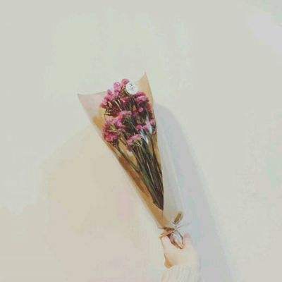 战刻夜想曲台版下载
